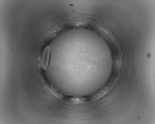 X0000097620558200803142004
