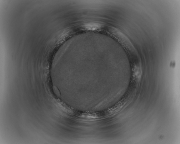 X0000097620559200803142005