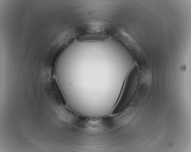 X0000097620560200803142005