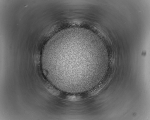 X0000097620561200803142005