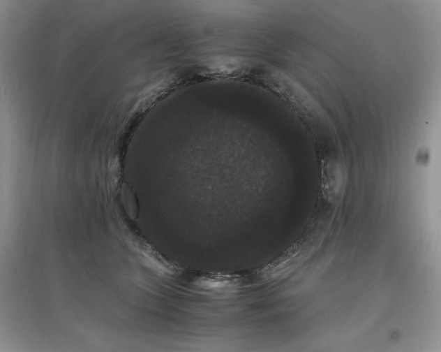 X0000097620563200803142005