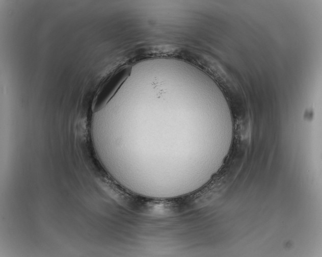 X0000097620564200803142005