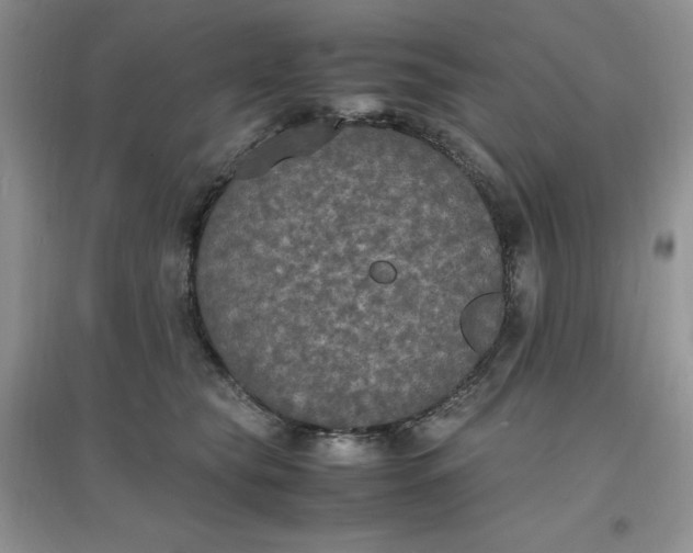 X0000097620565200803142005
