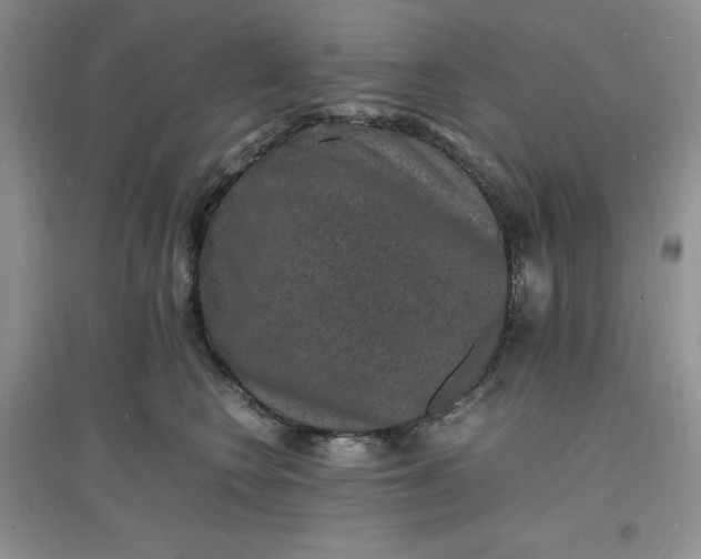 X0000097620566200803142005