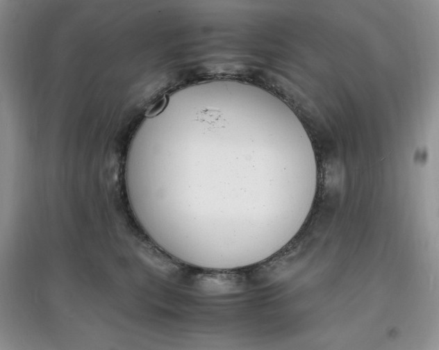 X0000097620567200803142005