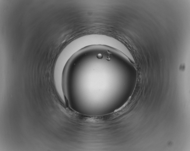 X0000097620568200803142005