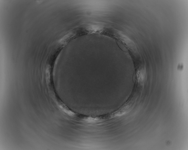 X0000097620570200803142005