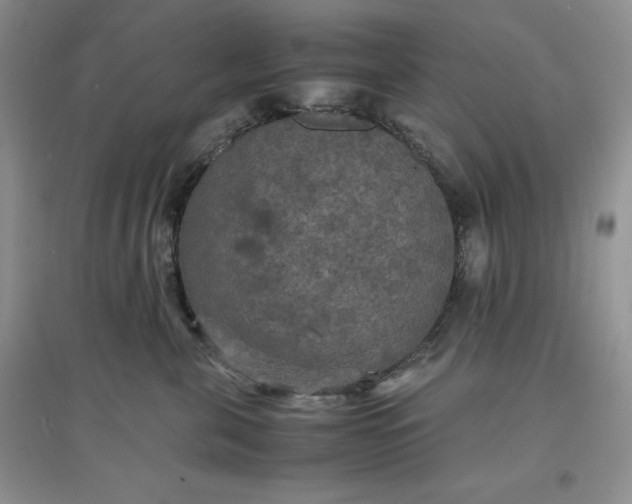 X0000097620571200803142005