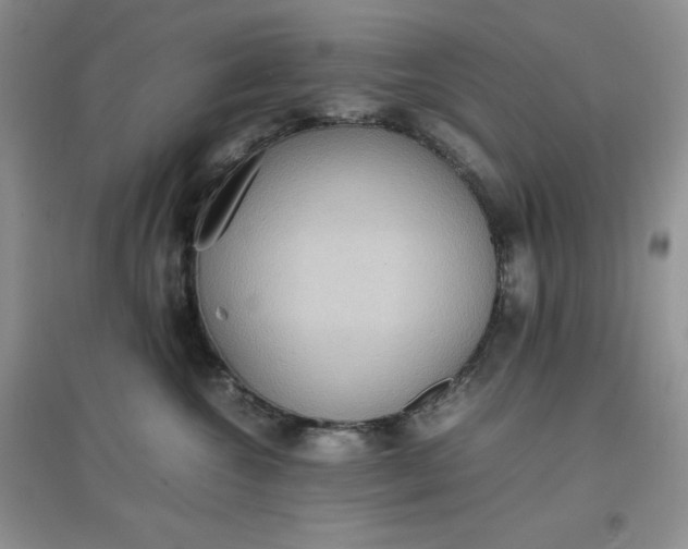 X0000097620572200803142005