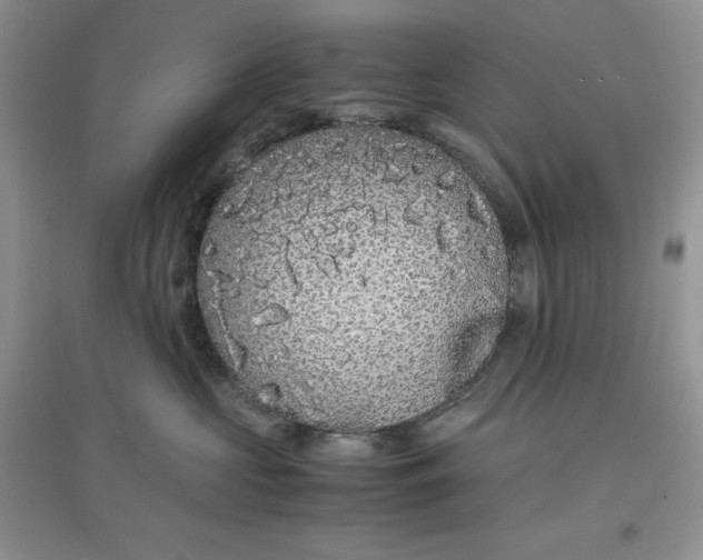 X0000097620573200803142005