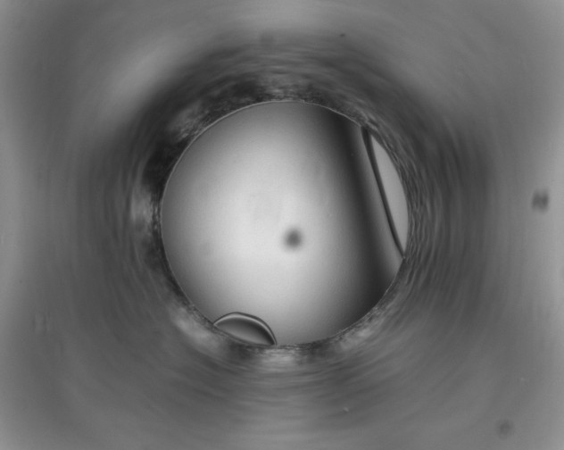 X0000097620574200803142005