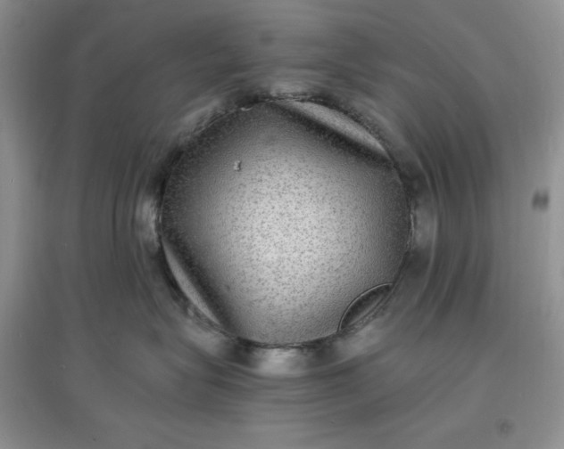 X0000097620575200803142005