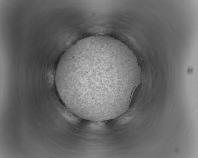 X0000097620576200803142005