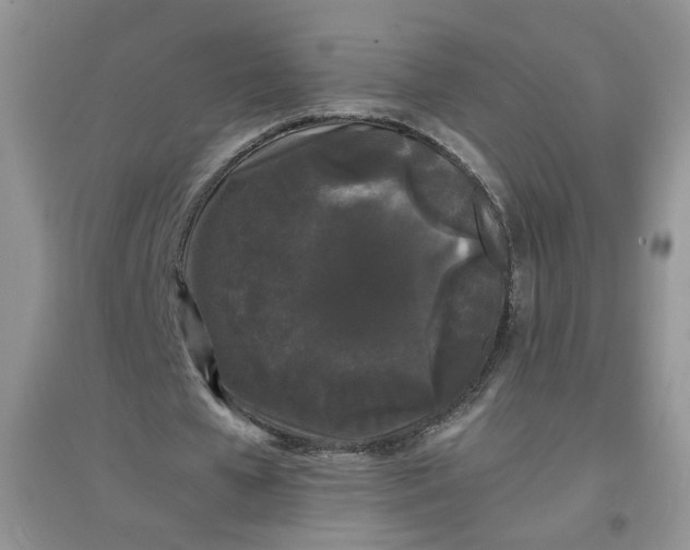 X0000097620577200803142004