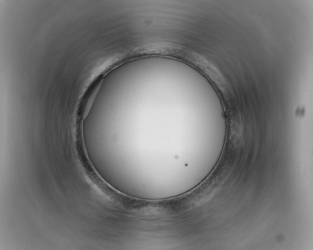 X0000097620578200803142004