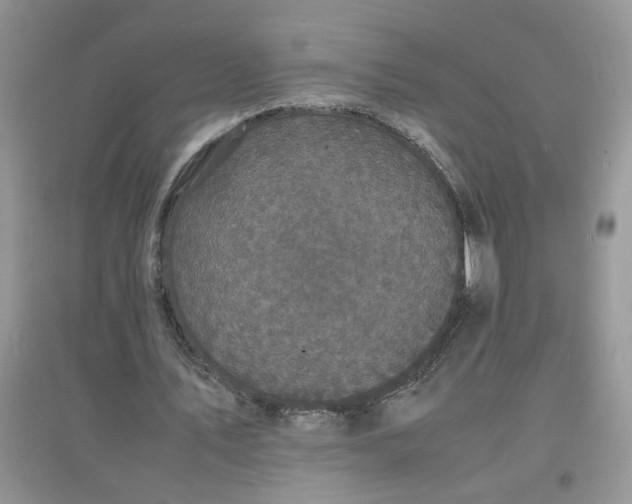 X0000097620579200803142004