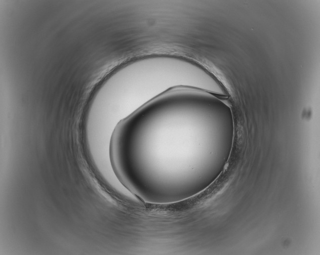 X0000097620581200803142004