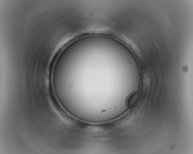 X0000097620582200803142004