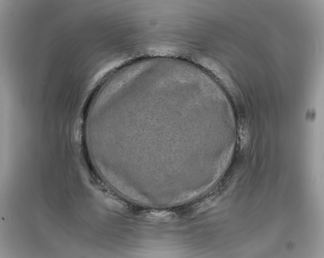 X0000097620583200803142004