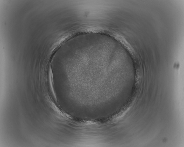 X0000097620585200803142004