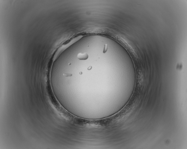 X0000097620586200803142004