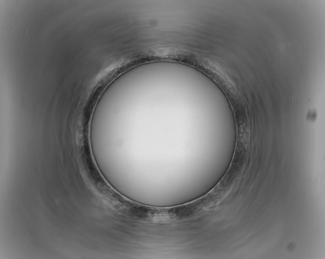 X0000097620587200803142004