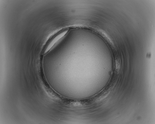 X0000097620588200803142004