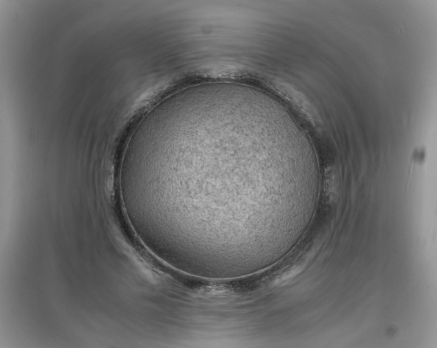 X0000097620589200803142004