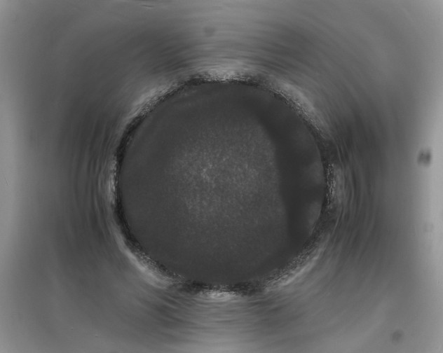 X0000097620590200803142004
