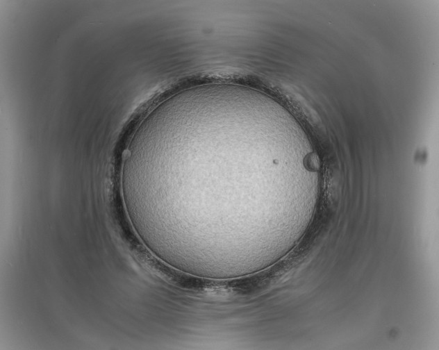 X0000097620591200803142004