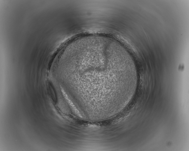 X0000097620592200803142004