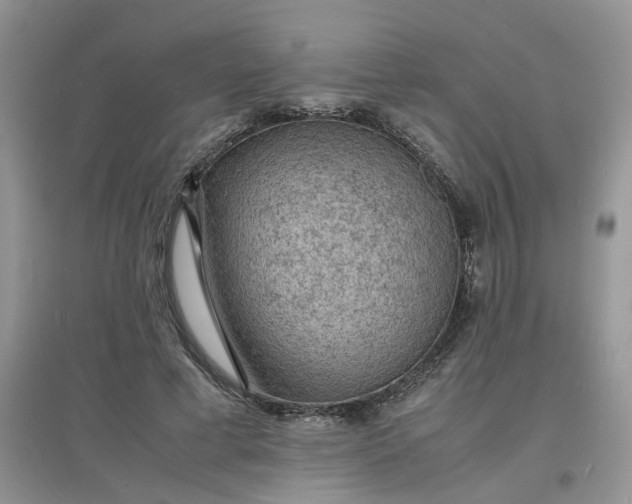 X0000097620593200803142004