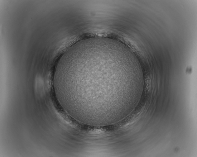 X0000097620594200803142004