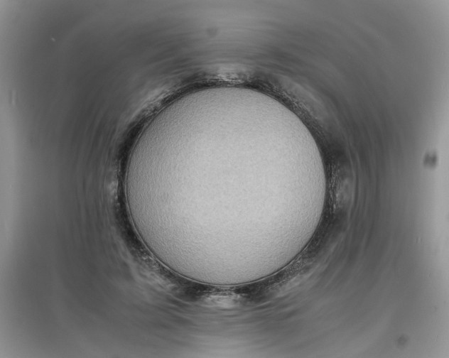 X0000097620595200803142004