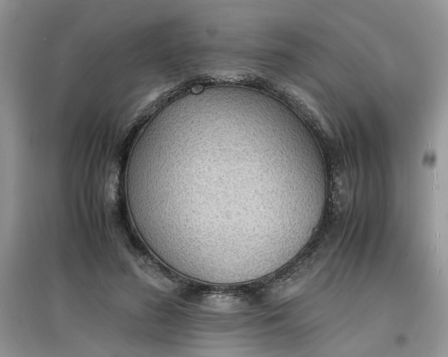 X0000097620596200803142004