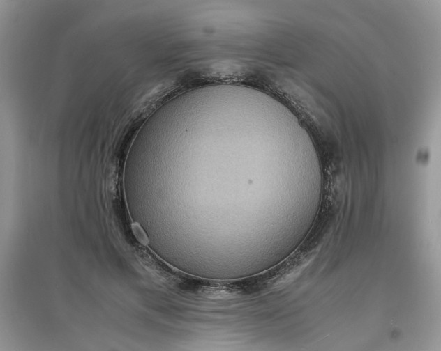 X0000097620597200803142004