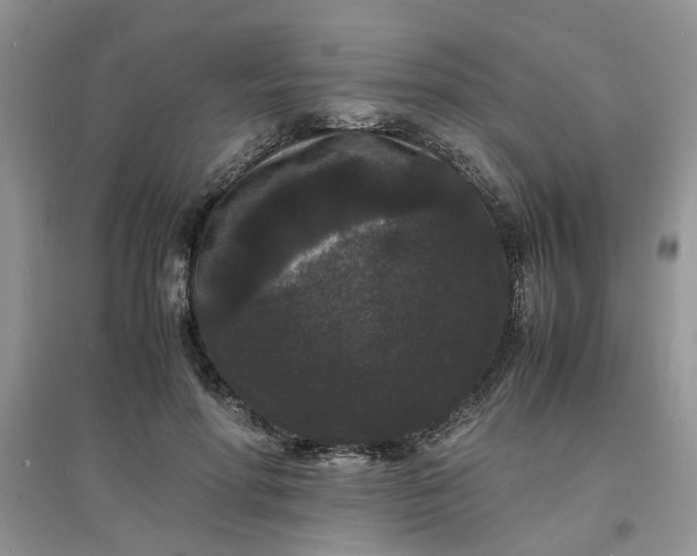 X0000097620598200803142004