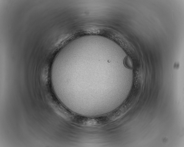 X0000097620600200803142004