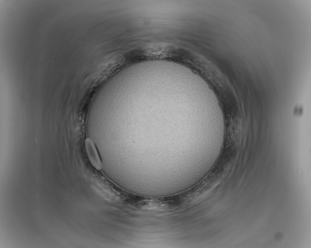 X0000097620601200803142004