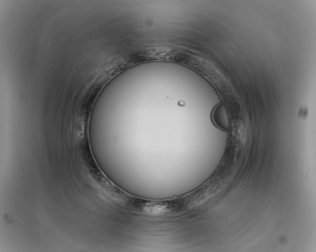 X0000097620602200803142004