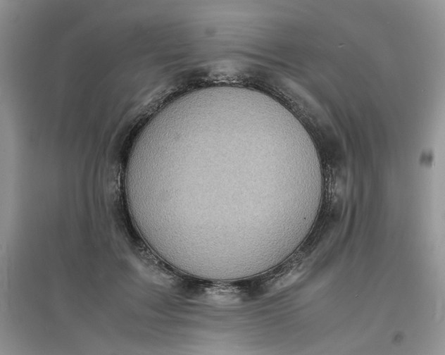 X0000097620603200803142004