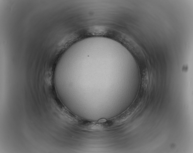 X0000097620604200803142004
