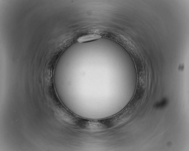 X0000097620605200803142004