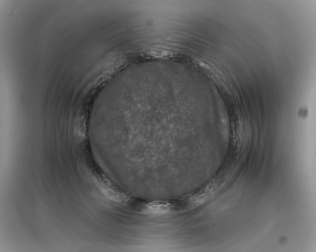 X0000097620606200803142004