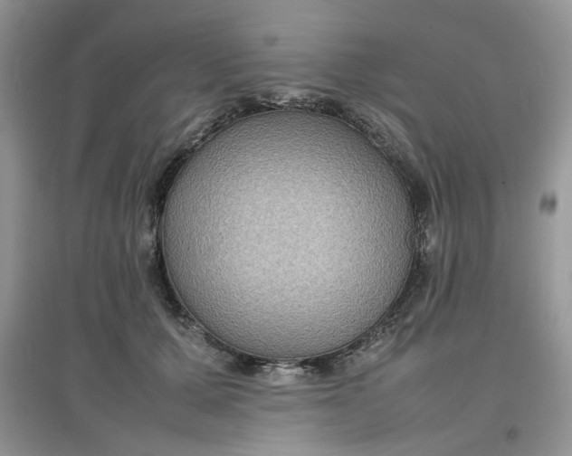 X0000097620607200803142004