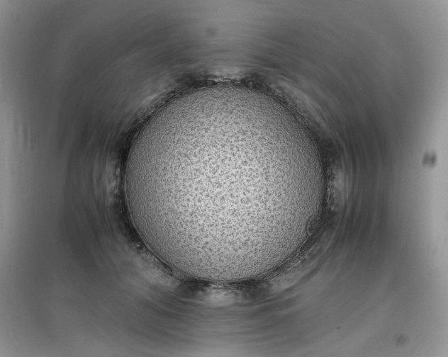 X0000097620608200803142004