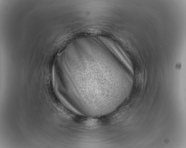 X0000097620609200803142004