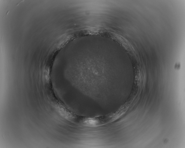 X0000097620610200803142004