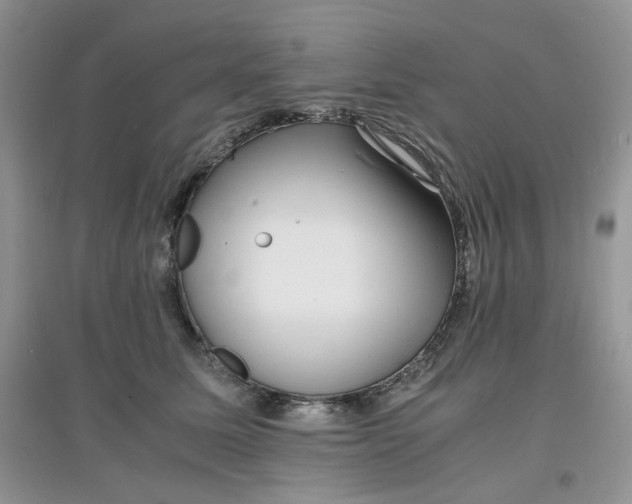 X0000097620611200803142004