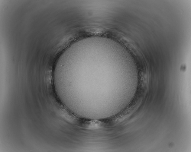 X0000097620612200803142004